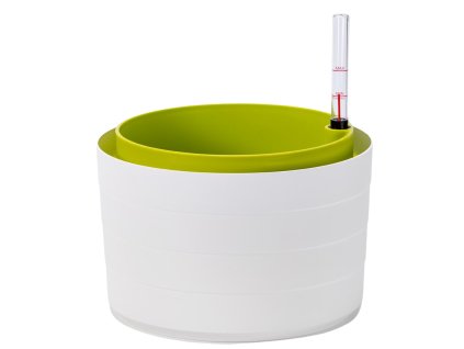 85559 kvetinac samozavlazovaci berberis bila zelena 26 cm
