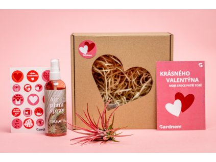 Valentýnská sada Tillandsia Ionantha red s hnojivem