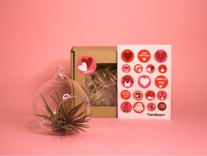 Dárková sada z lásky (5)