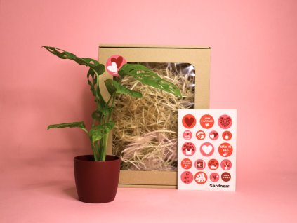 Dárková sada z lásky (6)