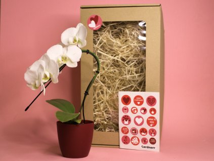 Dárková sada z lásky (8)