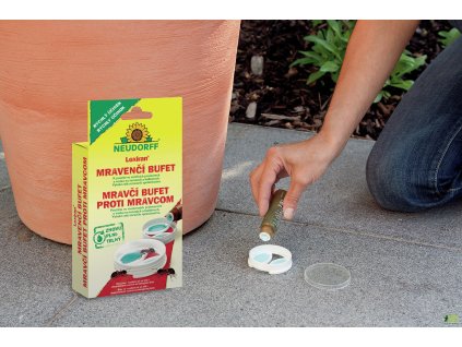 4cec63bd 1f2a 46c9 aabf 430e0414c88a