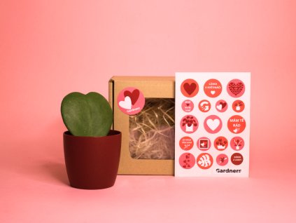 Dárková sada z lásky (2)