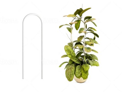 Gardners