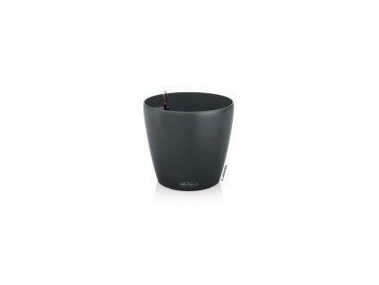 812 8 classico color eco