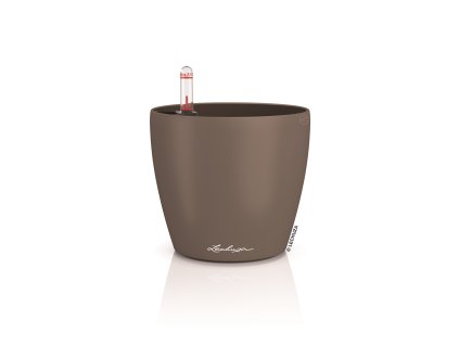 381 83 classico color