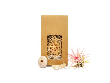 91415 medusa vyrob si sam rose s tillandsii ionantha red