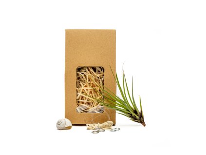 91475 snek vyrob si sam s tillandsii melanocrater