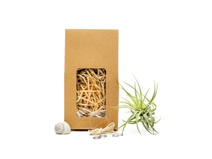 91478 snek vyrob si sam s tillandsii kathy