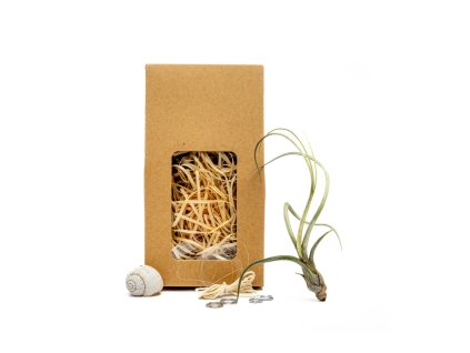 91481 snek vyrob si sam s tillandsii bailey