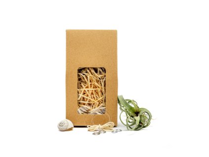 91487 snek vyrob si sam s tillandsii curly slim