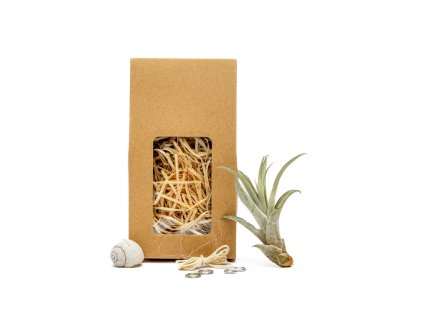 91490 snek vyrob si sam s tillandsii capitata