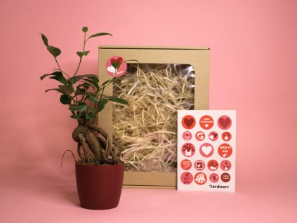 Dárková sada z lásky (7)