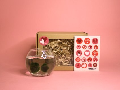 Dárková sada z lásky (9)