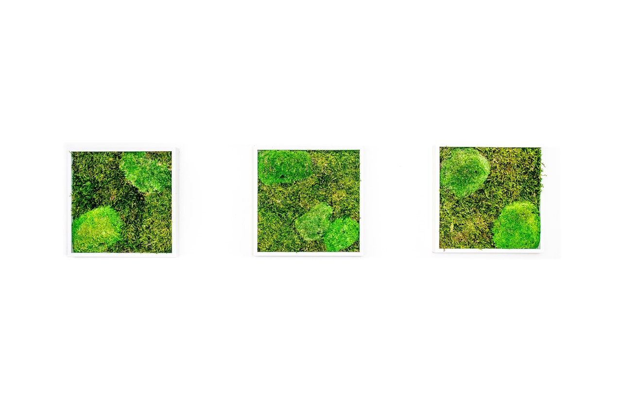 Set 3 mechových obrazů 22x22 kombinovaný mech kopečkový s plochým, bílá + doprava zdarma