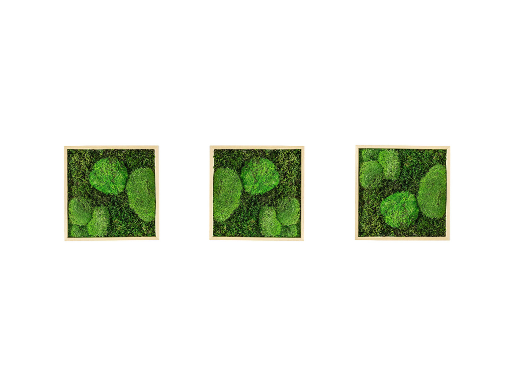 Set 3 mechových obrazů 22x22 kombinovaný mech kopečkový s plochým, přírodní + doprava zdarma