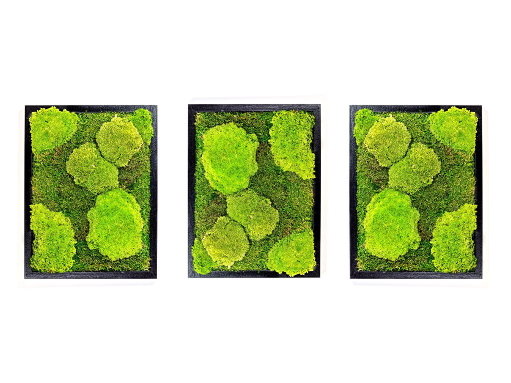 Set 3 mechových obrazů 30x40 kombinovaný mech kopečkový s plochým, černá + doprava zdarma