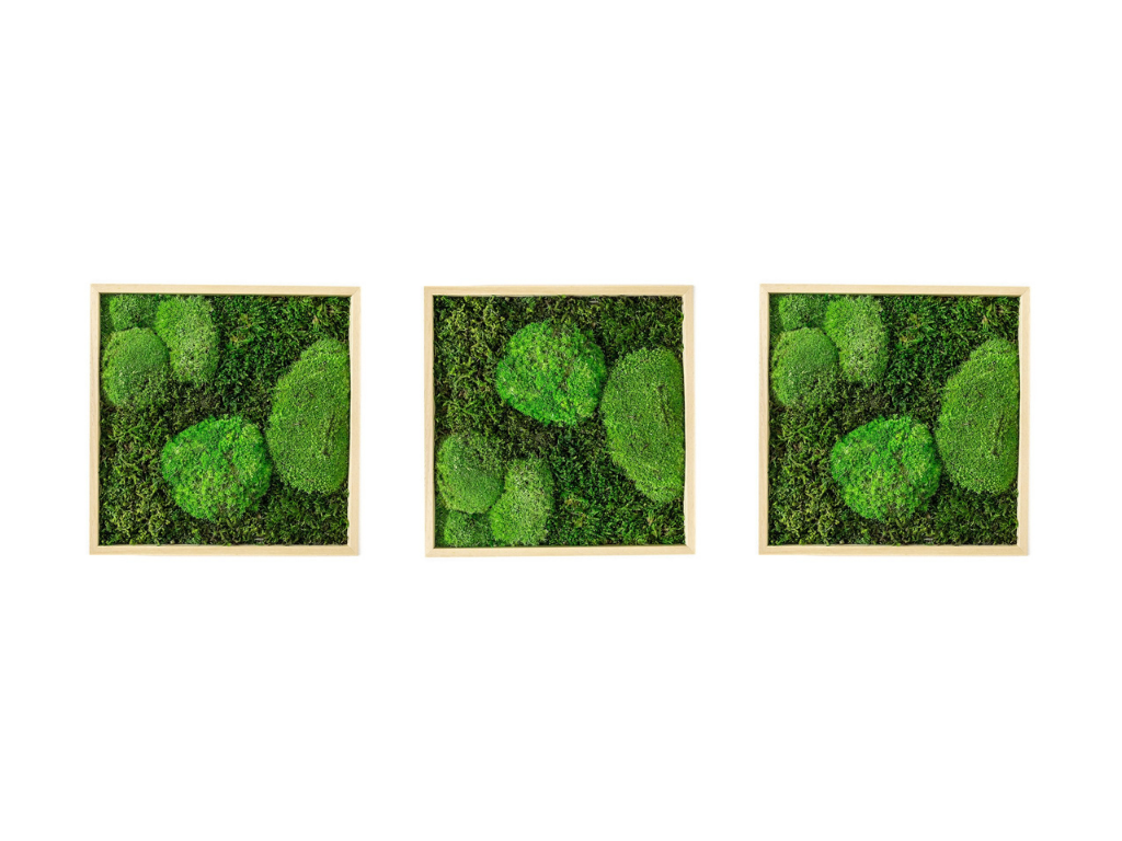 Set 3 mechových obrazů 35x35 kombinovaný mech kopečkový s plochým, přírodní + doprava zdarma