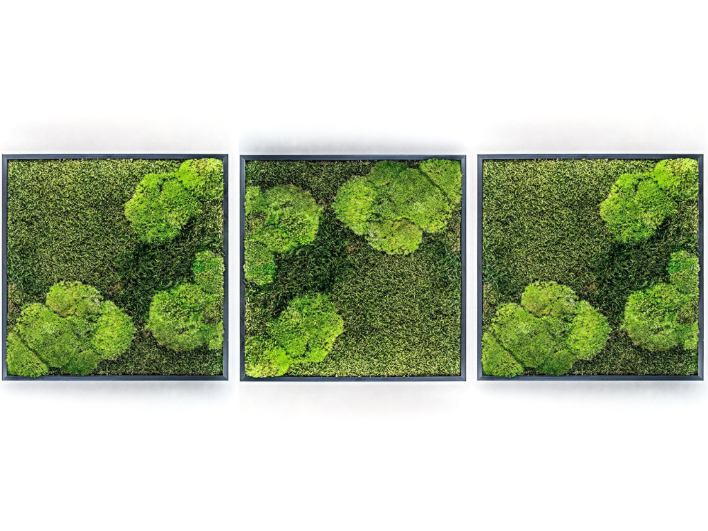 Set 3 mechových obrazů 50x50 kombinovaný mech kopečkový s plochým, černá + doprava zdarma