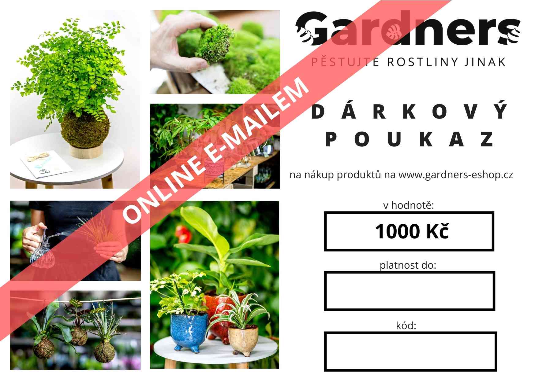 Dárkový poukaz 1000 Kč - pouze e-mailem