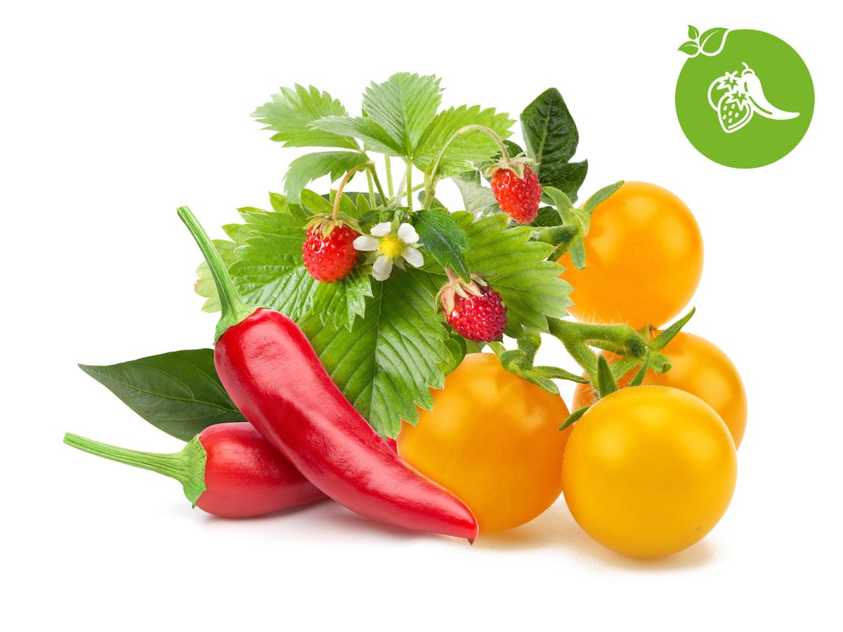 Kapsle Smart Garden - mix ovoce a zeleniny, 9 ks