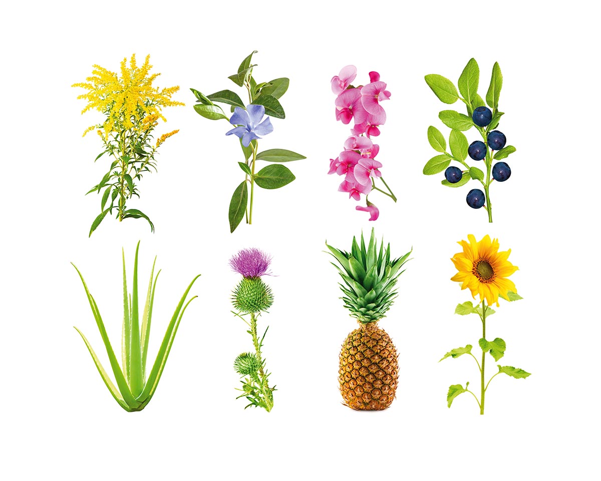 Kapsle Smart Garden se semínky a substrátem - Experimentální náplň, 3 ks