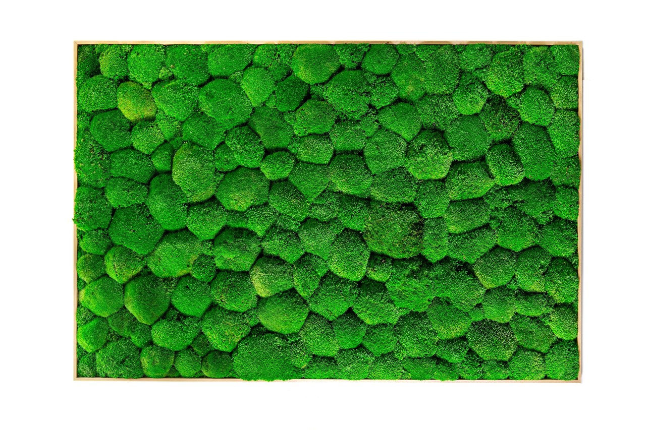 Mechový obraz 140x200 cm z kopečkového mechu, přírodní + doprava zdarma