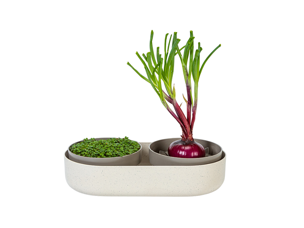 Velká farma - Klíčící miska Microgreens+Regrow, slonová kost