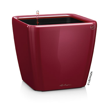 Samozavlažovací květináč Quadro LS Premium, průměr 28 cm, červená