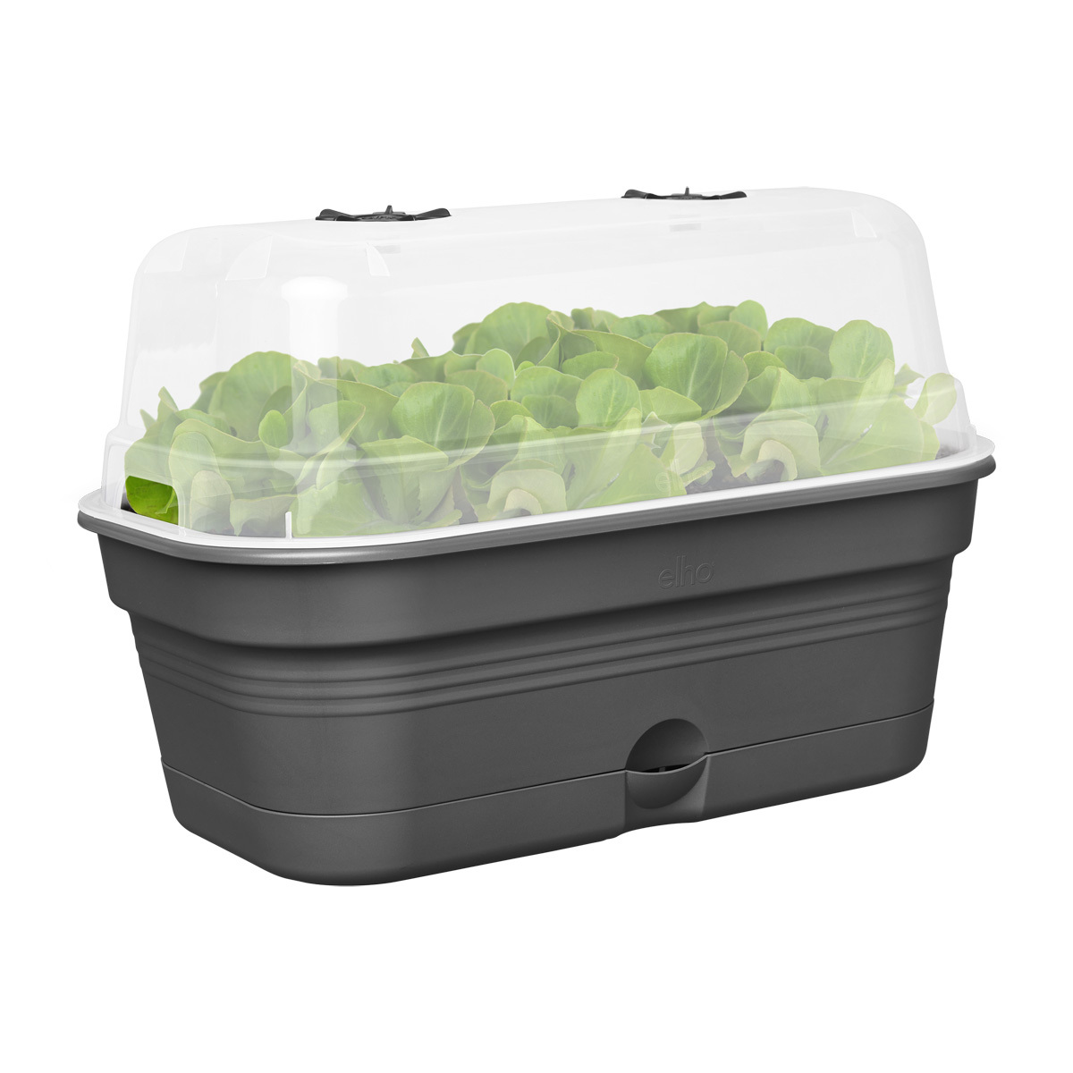 Truhlík Green Basics growpot tray all-in-1 32 cm , černá