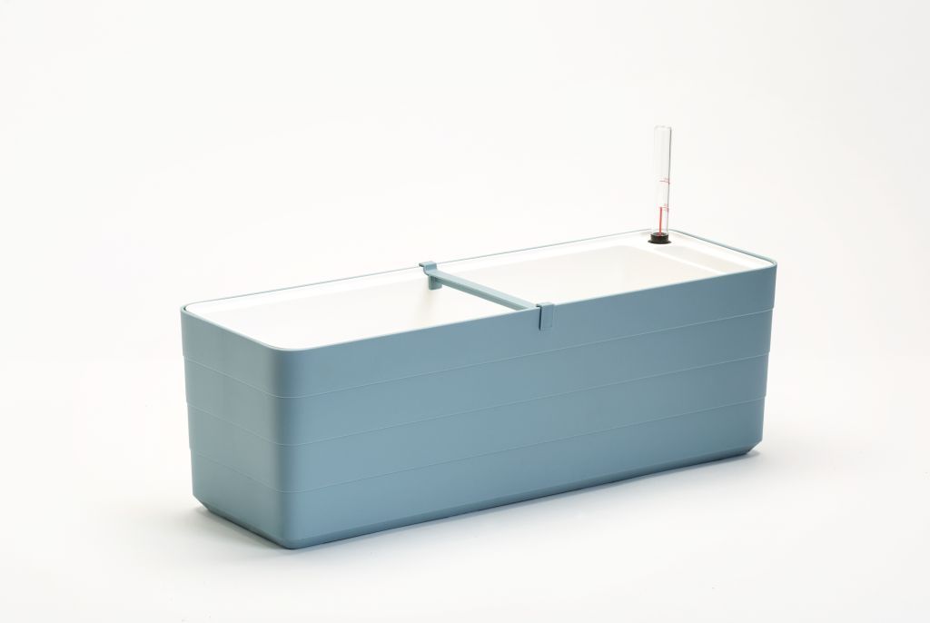 Samozavlažovací truhlík Berberis modrá + bílá, 60 cm