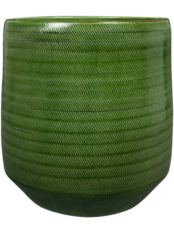 Obal Remi - Green, průměr 23 cm