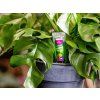 10562 vyziva pro pokojove rostliny 35 ml