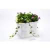 1149 1 velkoobjemovy truhlik berberis uno 45x39x35 cm bila
