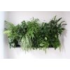 Obraz z živých rostlin HUB 50x50 cm pro 13 rostlin, osázený, tmavě šedá