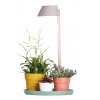 19997 1 lampa pro kvetiny plant light care 25x47 cm seda