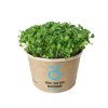 25791 2 grow kit sada pro pestovani microgreens