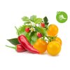 Fruit and Veggie Mix 1280x960 icon 1200x