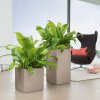 Samozavlažovací květináč Canto Stone Square průměr 30 cm, bílá  + doprava zdarma