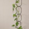 Botanopia.com Black chain support for climbing plants7