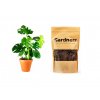 Set Monstera deliciosa a substrát, M