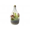 30630 1 sklenene terarium demizon osazej si sam 5l