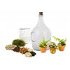 30630 sklenene terarium demizon osazej si sam 5l