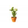 Gardners produkt 011