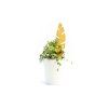 Vzpěra k rostlinám Banana 30 cm2