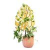 Vzpěra k rostlinám Monstera 3D 60 cm