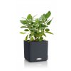 Samozavlažovací květináč Cube Color, průměr 16 cm, antracitová