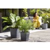 33620 8 samozavlazovaci kvetinac greensense aqua care square prumer 30 cm antracit