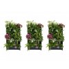 Set 15 ks Plantbox - truhlík pro vertikální pěstování  + doprava zdarma