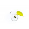 36438 epipremnum neon golden potos rizek k zakoreneni
